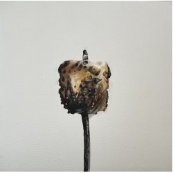 Marshmallow by Erin Rothstein